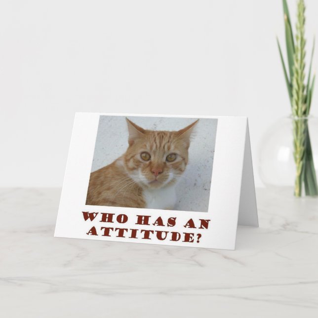 Who Has An Attitude Cat Greeting Card (Front)