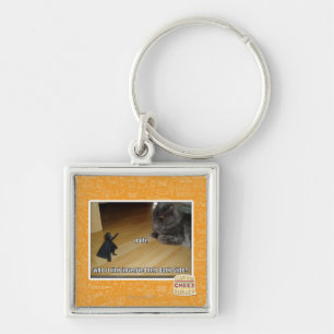 Who invented the dark side? key ring