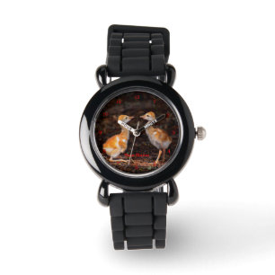 Who is bigger? Sandhill crane chicks Watch