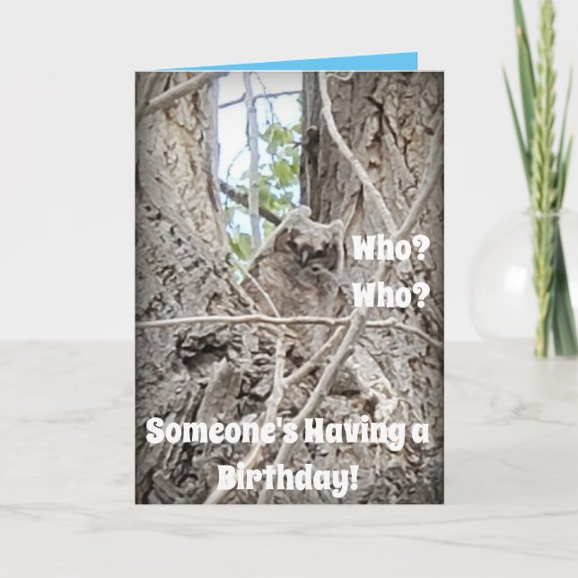 Who is Having a Birthday Baby Owl in Tree Card (Front)