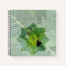 "Who is the Creator?"