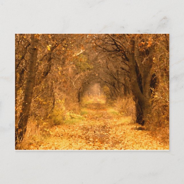 Who Knows Where The Path Leads? Postcard (Front)