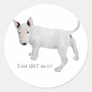 Who, me? Bull Terrier Puppy Classic Round Sticker