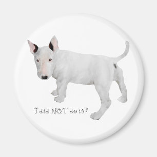 Who, me? Bull Terrier Puppy Magnet