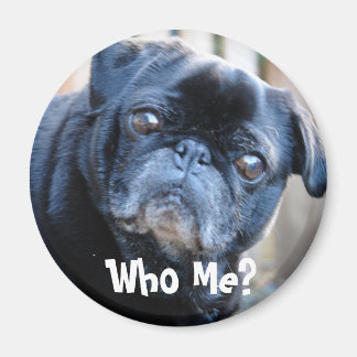 Who Me? Magnet