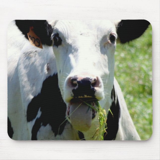 "Who Me" Mouse Mat (Front)