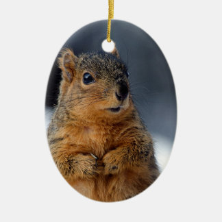 Who Me Squirrel Ceramic Tree Decoration
