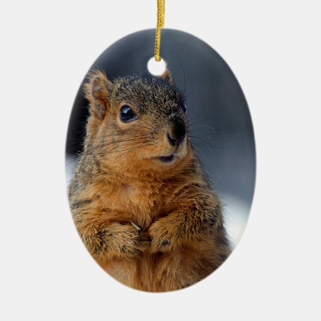 Who Me Squirrel Ceramic Tree Decoration (Front)