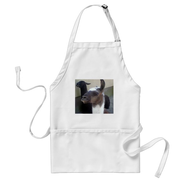 Who me? Zoo Llama design Standard Apron (Front)