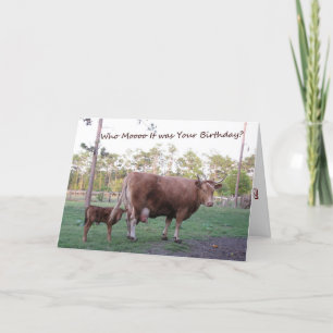 Who Mooo It was Your Birthday? Cow Birthday Card