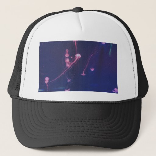 Image of Who's Jelly Trucker Hat