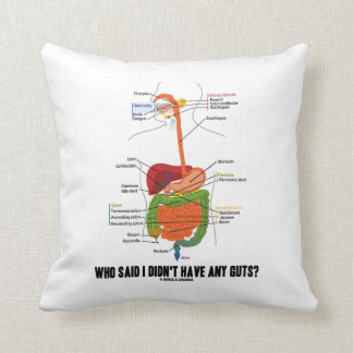 Who Said I Didn't Have Any Guts? Digestive System Cushion