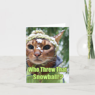 Who Threw That Snowball!? Holiday Card