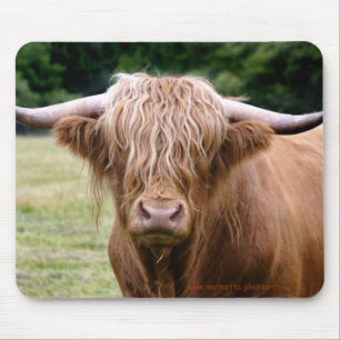 Who Turned the Lights Out Mousemat