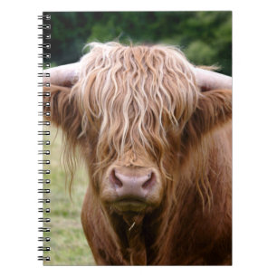 Who Turned the Lights Out Notebook