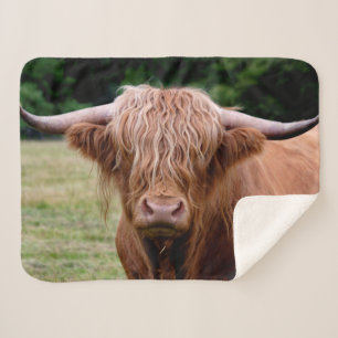 Who Turned The Lights Out Sherpa Blanket