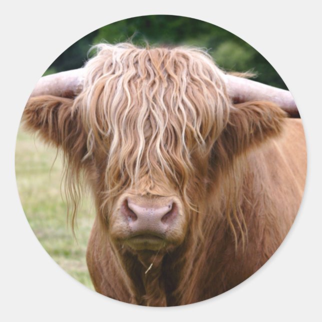 Who Turned the Lights Out Sticker (Front)