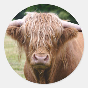 Who Turned the Lights Out Sticker