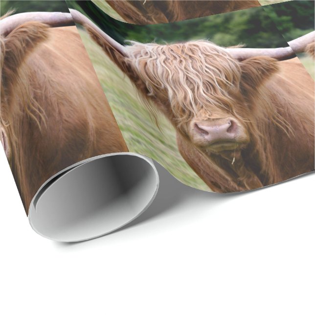 Who Turned the Lights Out Wrapping Paper (Roll Corner)