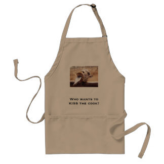 Who wants to KISS the cook? Standard Apron