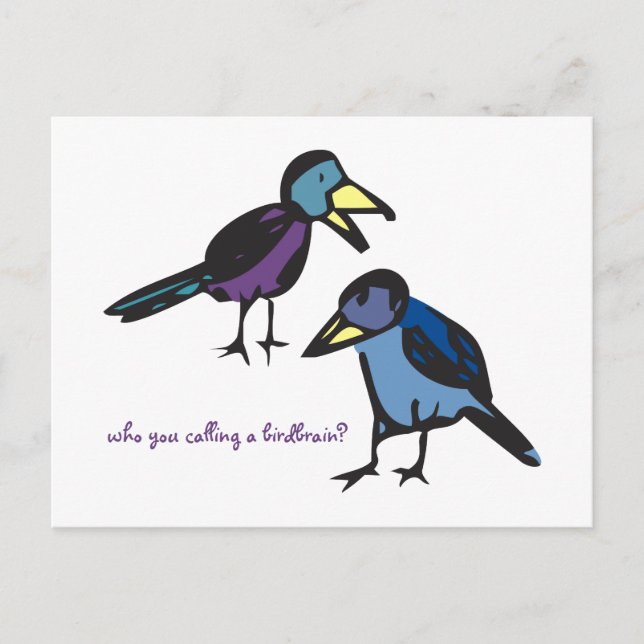who you callin' a birdbrain? postcard (Front)