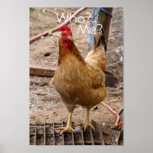Who you call'in chicken? Poster