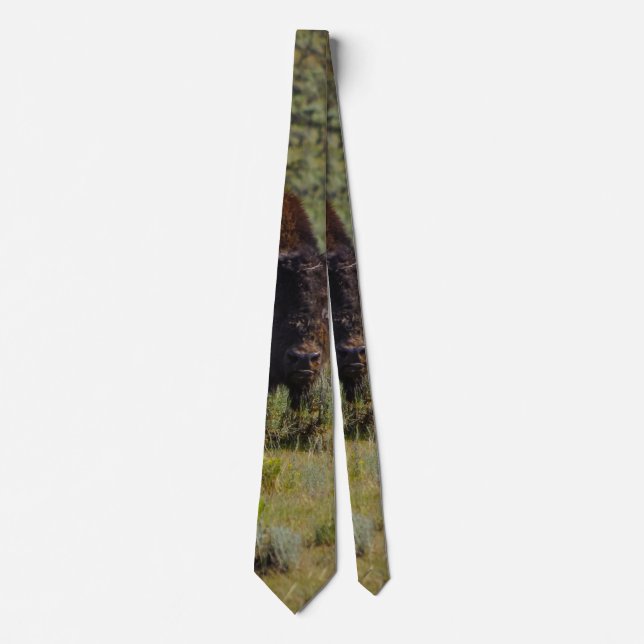 Who You Looking At Neck Tie (Front)