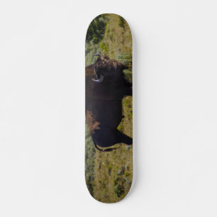 Who You Looking At Skateboard