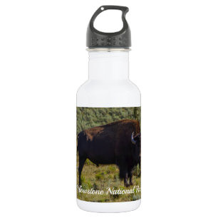 Who You Looking At Stainless Steel Water Bottle