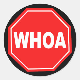 whoa classic round sticker