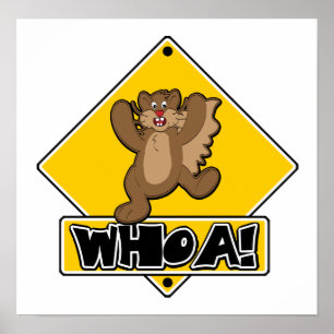 Whoa Squirrel Crossing Sign