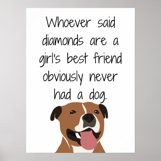 Whoever Said Diamonds Are a Girls Best Friend Poster (Front)
