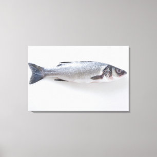 Whole branzini fish canvas print