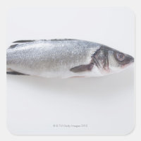 Whole branzini fish