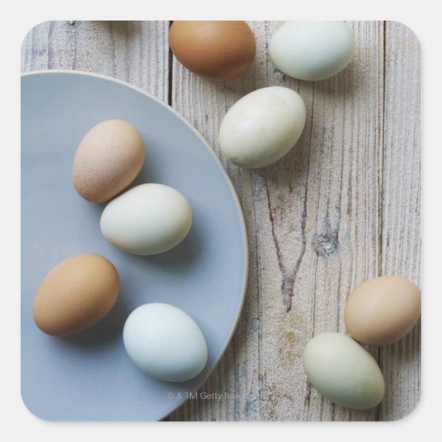 Whole eggs square sticker (Front)