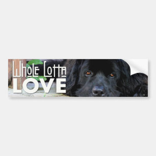 Whole Lotta Love Newfie Bumper Sticker