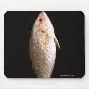 Whole Sea Bass Mouse Mat