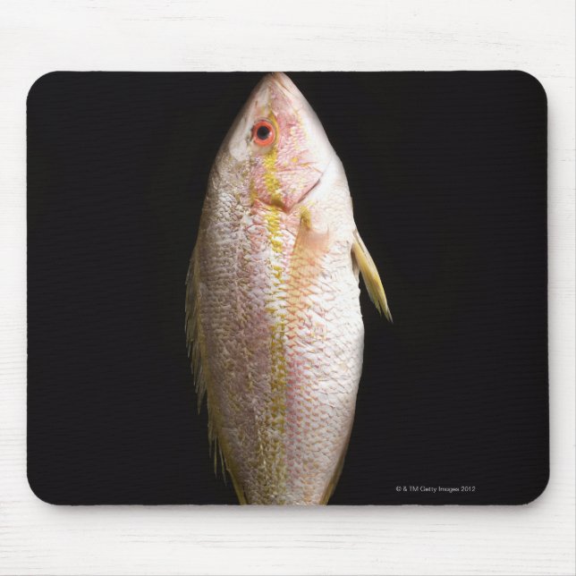 Whole Sea Bass Mouse Mat (Front)