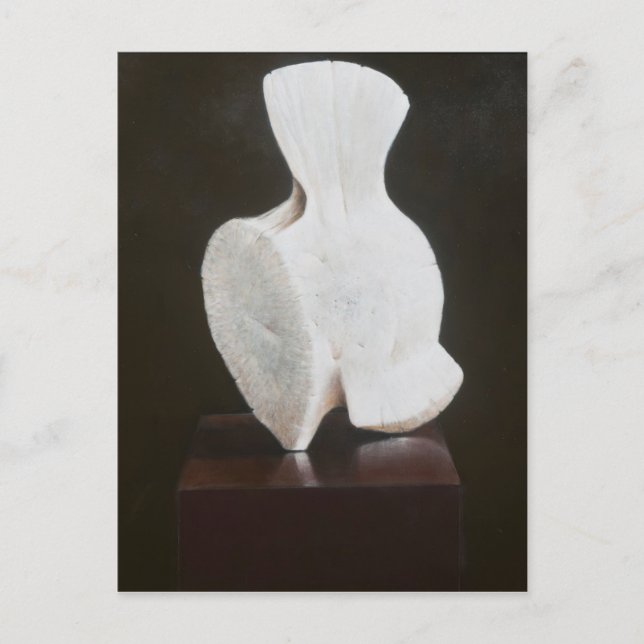 Whole Vertebra 2012 Postcard (Front)