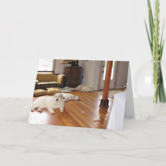 Wholesale destruction card