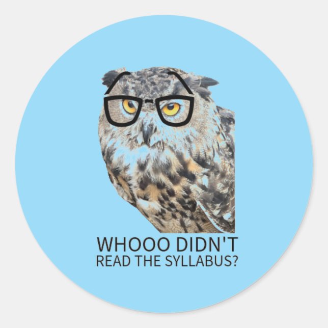 Whoo didn't read the syllabus? classic round sticker (Front)