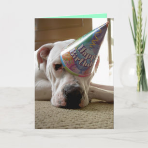 Whoop Dee Doo Card