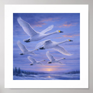 Whooper Swans in Winter Sky – Japanese Wild Bird Poster