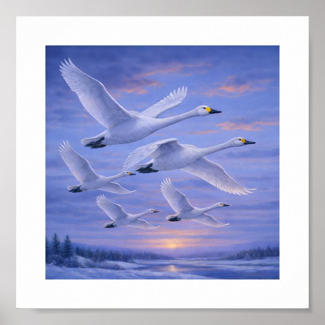 Whooper Swans in Winter Sky – Japanese Wild Bird Poster (Front)