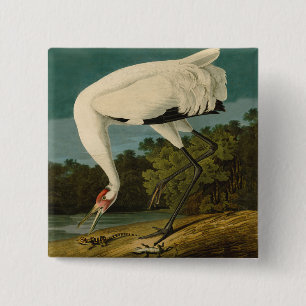 Whooping Crane Audubon Bird Painting 15 Cm Square Badge