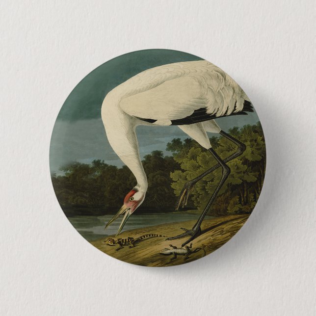 Whooping Crane Audubon Bird Painting 6 Cm Round Badge (Front)