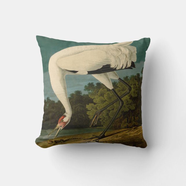 Whooping Crane Audubon Bird Painting Cushion (Front)