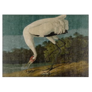 Whooping Crane Audubon Bird Painting Cutting Board