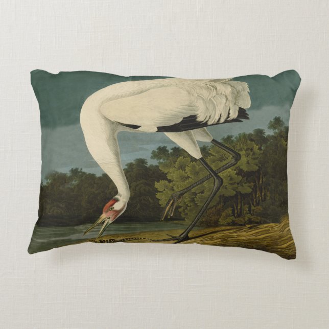 Whooping Crane Audubon Bird Painting Decorative Cushion (Back)