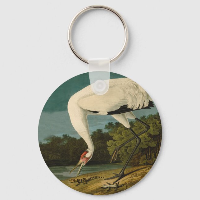 Whooping Crane Audubon Bird Painting Key Ring (Front)
